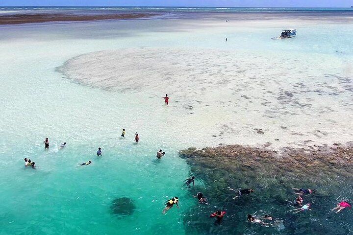 Snorkel the clear, aquamarine waters of the Turtle Reef